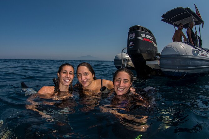 Snorkeling with Marine Biologist Expert from Sorrento - Leaving Via Marina Grande for Punta Campanella