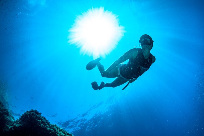 Snorkeling with Marine Biologist Expert from Sorrento - First cove: fish, rock formations, and calmer water