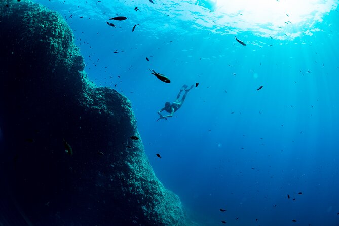 Snorkeling with Marine Biologist Expert from Sorrento - Caves and limestone walls near the reserve