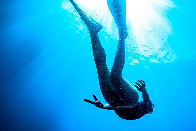 Snorkeling with Marine Biologist Expert from Sorrento - What you might see beneath the boat