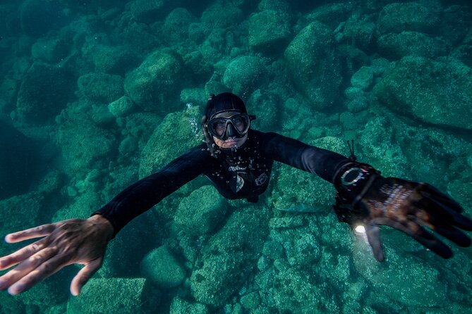 Snorkeling with Marine Biologist Expert from Sorrento - Is $115.24 a fair price?