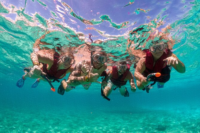 Snorkelling Experience - Key points before you book