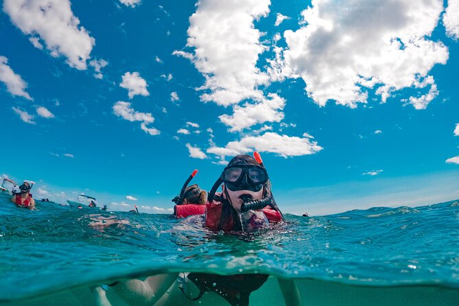 Snorkelling Experience - Testing the mask, fins, and snorkel