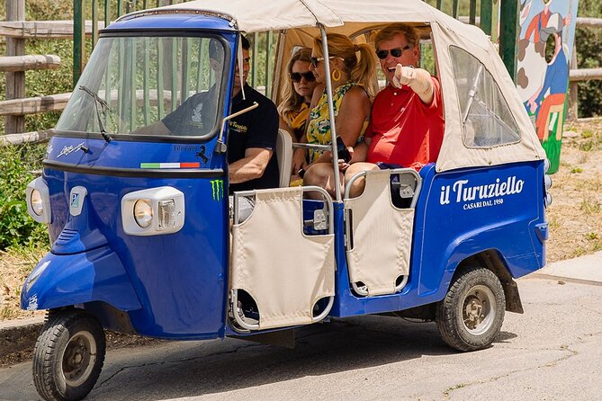 Sorrento Ape Tour, Lemon Garden, Mozzarella Show & Pizza Class - A food tour with wheels, trees, and real participation
