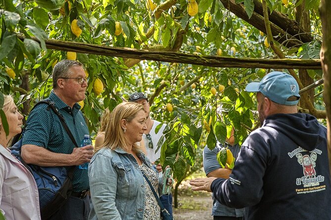 Sorrento Ape Tour, Lemon Garden, Mozzarella Show & Pizza Class - Who will enjoy this Sorrento outing most