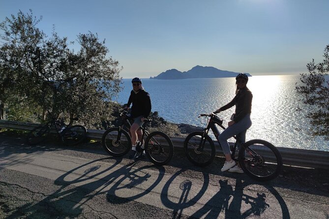 Sorrento: at the Vivaio by E-Bike with Limoncello Tasting - Who should choose this Sorrento experience?