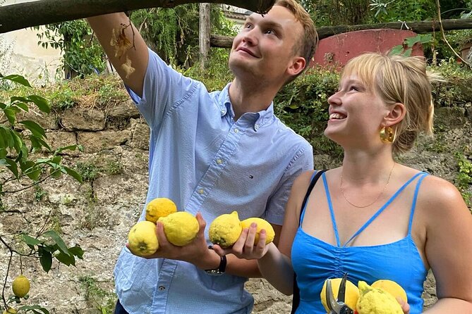 Sorrento: Authentic Lemon Experience at a Farm with Tastings - Picking lemons in a working family farm