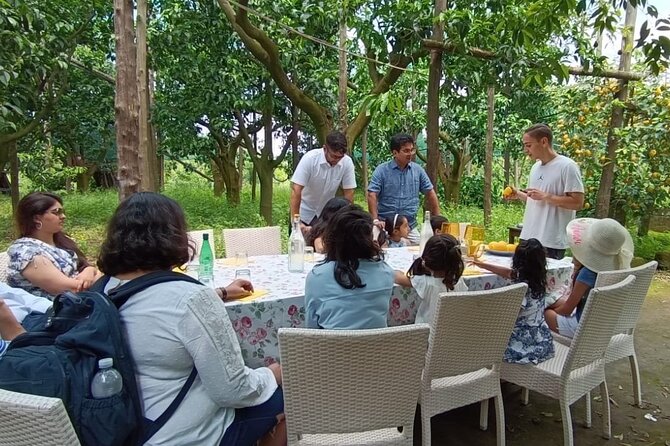Sorrento: Authentic Lemon Experience at a Farm with Tastings - What the guide adds