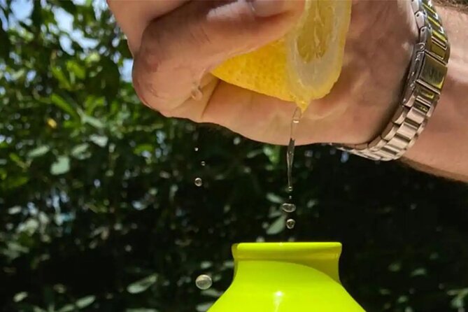 Sorrento: Authentic Lemon Experience at a Farm with Tastings - The transport question: Piano di Sorrento is not Naples