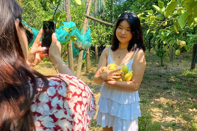 Sorrento: Authentic Lemon Experience at a Farm with Tastings - Is $77.44 a fair price?