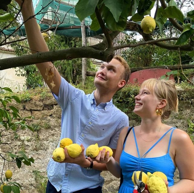 Sorrento: Authentic Lemon Experience in a Farm with Tastings - Is $73 a fair price?
