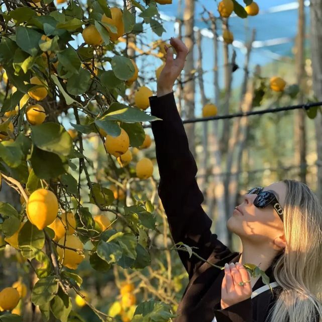 Sorrento: Authentic Lemon Experience in a Farm with Tastings - Who will enjoy this farm experience most