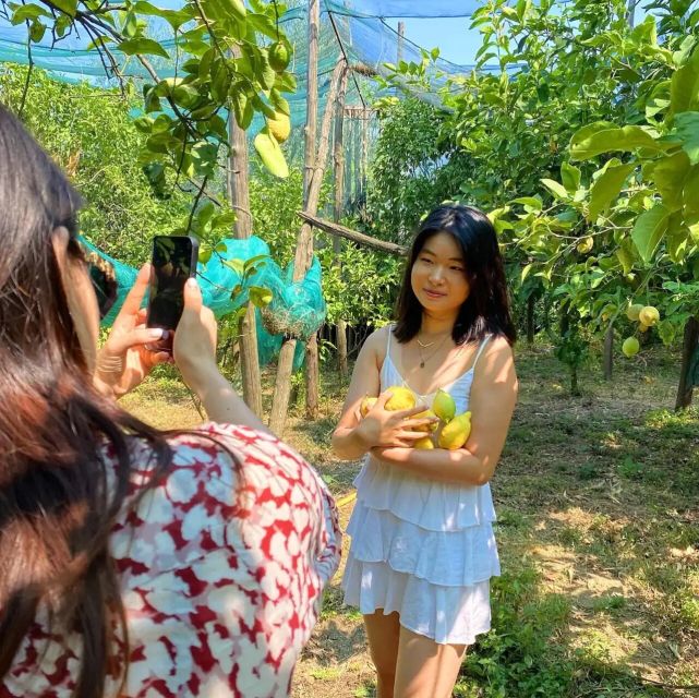 Sorrento: Authentic Lemon Experience in a Farm with Tastings - Starting at Aranceto Storico in Piano di Sorrento