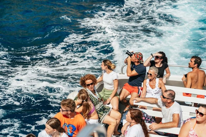 Sorrento: Coast and Capri Boat Trip with Limoncello Tasting - Should you choose the swimming stop?