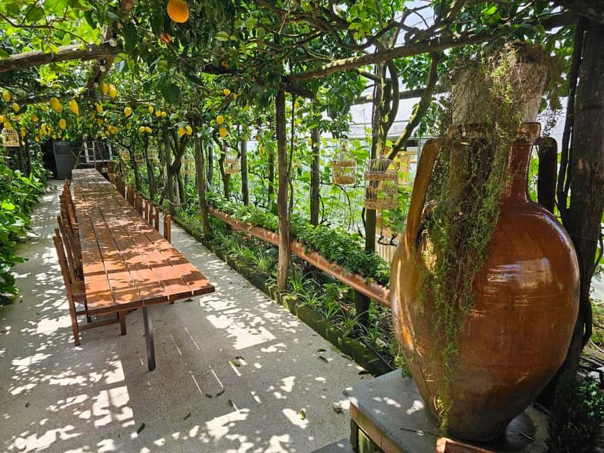 Sorrento Coast E-Bike Tour and Visit at Vinegar Cellar - The first 50 minutes through Sorrento’s hill country