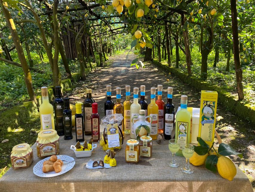 Sorrento: Coast E-Bike Tour with Limoncello Tasting - Key points at a glance