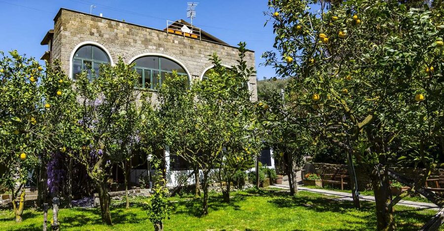 Sorrento: Coast E-Bike Tour with Limoncello Tasting - Riding through lemons, olives, and quiet side roads