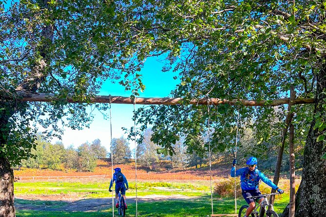 Sorrento e-bike adventure: olive oil and lemon tasting - Why this Sorrento e-bike ride works so well