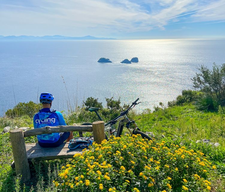 Sorrento: E-bike Oil & Lemon Tour with Tasting - Starting at Piazza Andrea Veniero