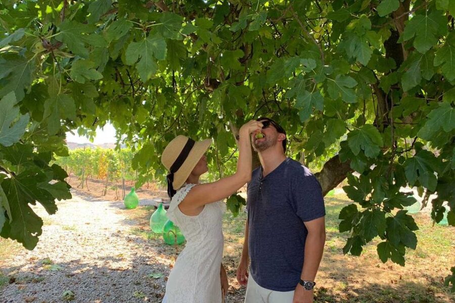 Sorrento: Family Farm Experience with Lunch - Walking beneath Sorrento’s lemon trees