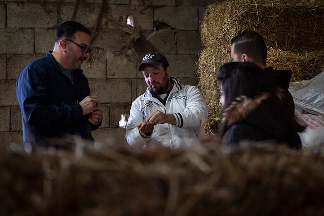 Sorrento Farm by Tuk Tuk: Cheese, Limoncello & Hands-On Pizza - Making pizza from dough to wood-fired oven
