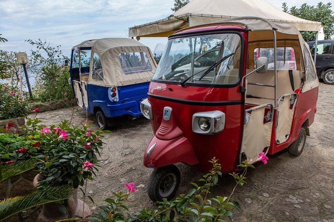 Sorrento Farm by Tuk Tuk: Cheese, Limoncello & Hands-On Pizza - Dessert, coffee and the family limoncello