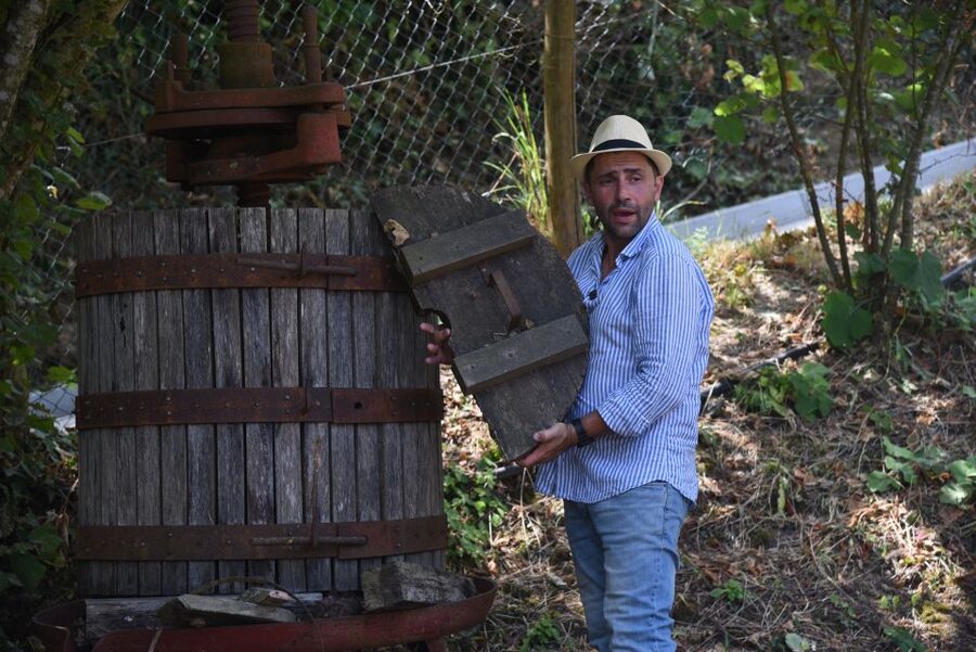 Sorrento: Farm Tour with Cheese Tasting & Pizza Making Class - Who should book this Sorrento farm tour?
