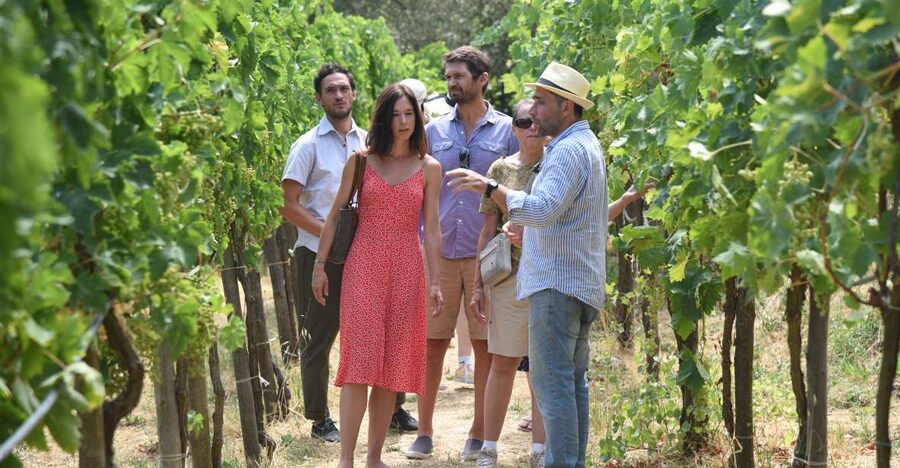 Sorrento: Farm Tour with Cheese Tasting & Pizza Making Class - Why Primaluce makes a good break from Sorrento