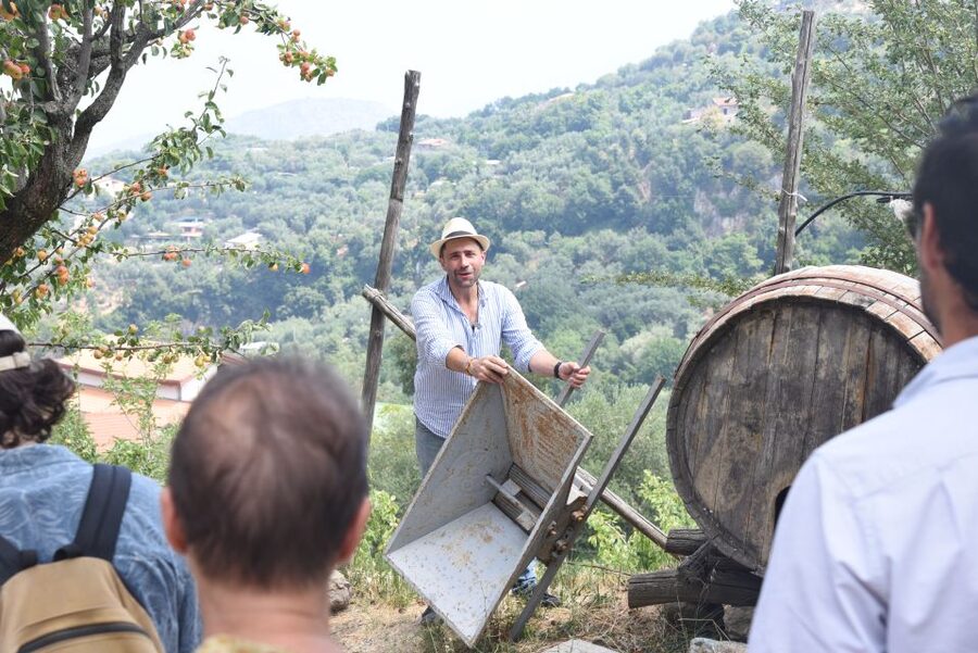 Sorrento: Farm Tour with Cheese Tasting & Pizza Making Class - Walking through Primaluce’s working land