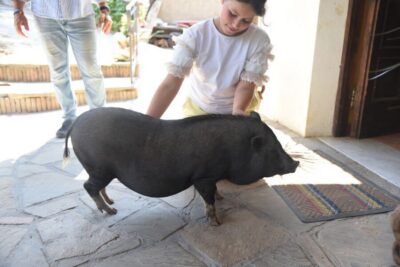 Farm Tour with Cheese Tasting & Pizza Making Class