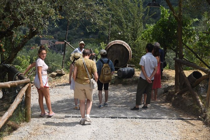 Sorrento Half-Day Farm Experience: Pizza, Cheese Making and Wine - From Sorrento streets to a hillside farm