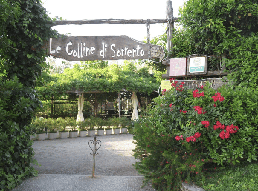 Sorrento: Lemon Garden Guided Tour with Tastings - The Tasting: Oil, Marmalade, and Limoncello
