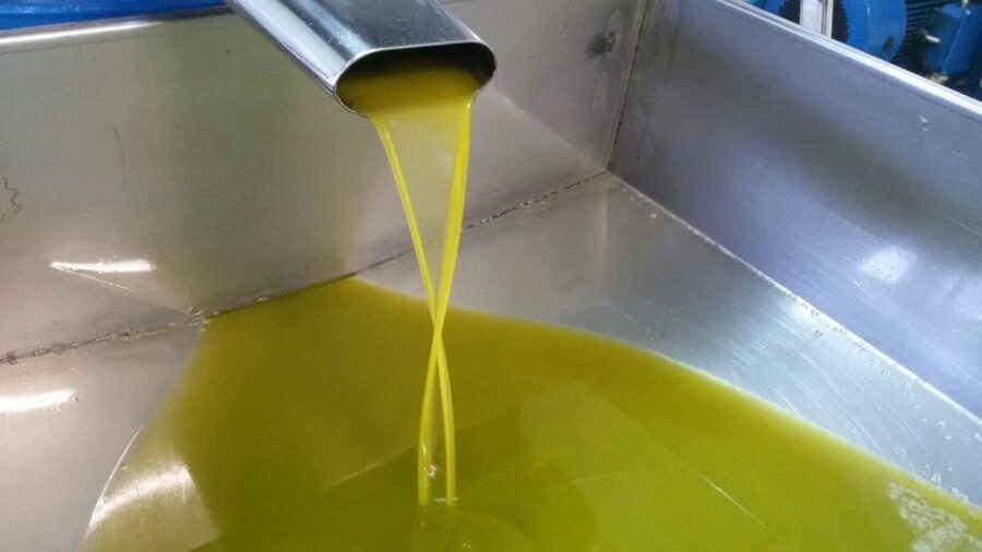 Sorrento: Lemon, Olive Oil and Wine Tasting Tour with Lunch - Walking through the olive groves