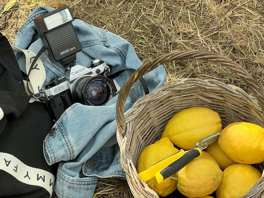 Sorrento: Lemon Picking & Tasting Tour - Key points to know before you book