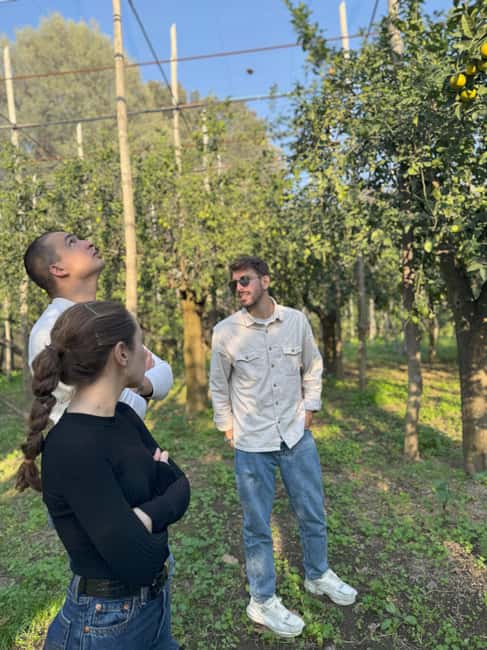 Sorrento: Lemon Picking & Tasting Tour - Practical tips for a smoother visit