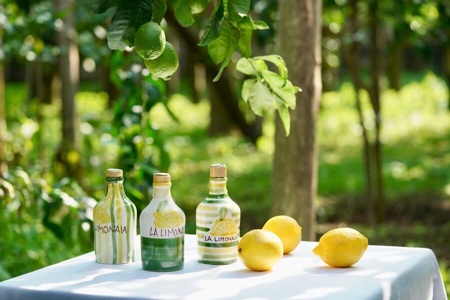 Sorrento Lemon Tour - Sun, rain, and what to bring