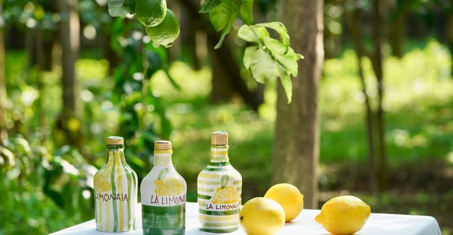Sorrento Lemon Tour - Arriving at La Limonaia on Via Bernardino Rota