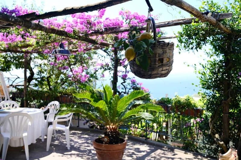 Sorrento: Marì Cooking Class in a Family Farm w/ Coast View - A garden before the cooking begins