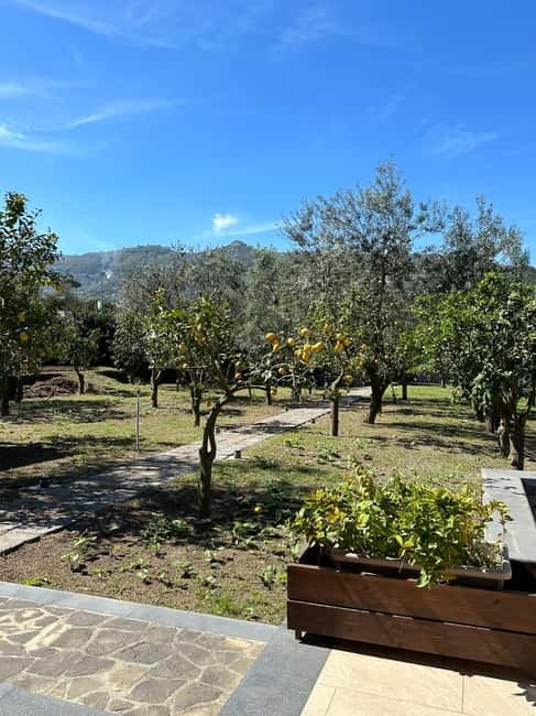 Sorrento: Mozzarella experience. Say CHEESE with us! - Key points to know before you book