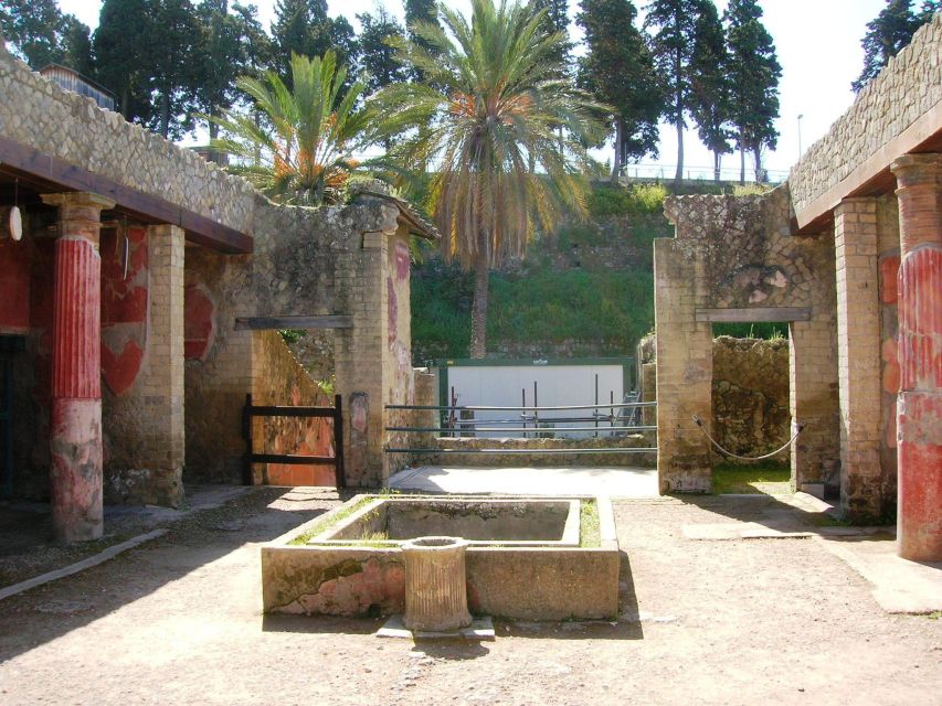 Sorrento: Pompeii & Herculaneum Day Trip Entry and Lunch - Key points to know before booking