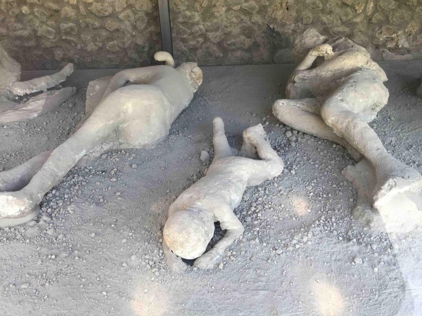 Sorrento: Pompeii & Herculaneum Day Trip Entry and Lunch - Who should book this day trip