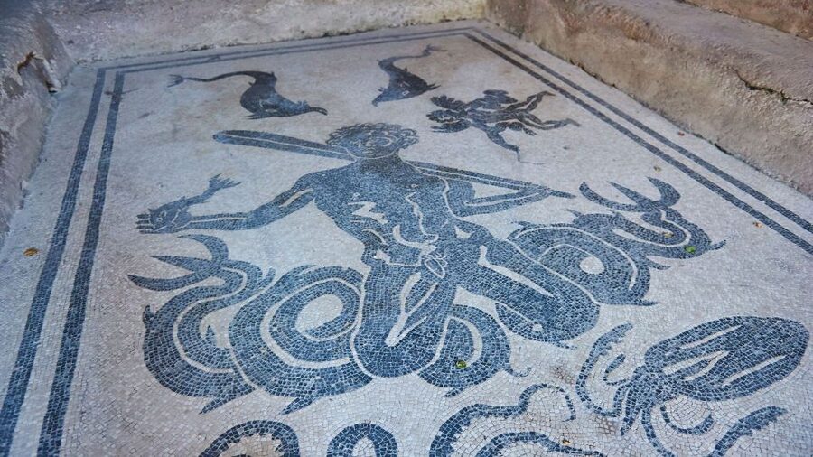 Sorrento: Pompeii & Herculaneum Tour with Skip-the-Line - Who will get the most from this tour