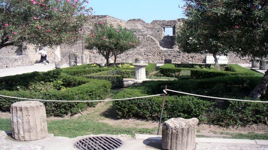 Sorrento: Pompeii & Herculaneum Tour with Skip-the-Line - Skip-the-line entry and what it really saves