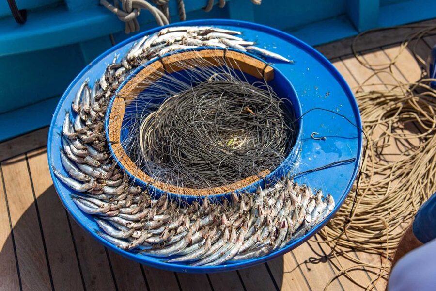 Sorrento: Sea-Fishing Tour with Lunch Onboard - A fishing day instead of a standard Capri cruise