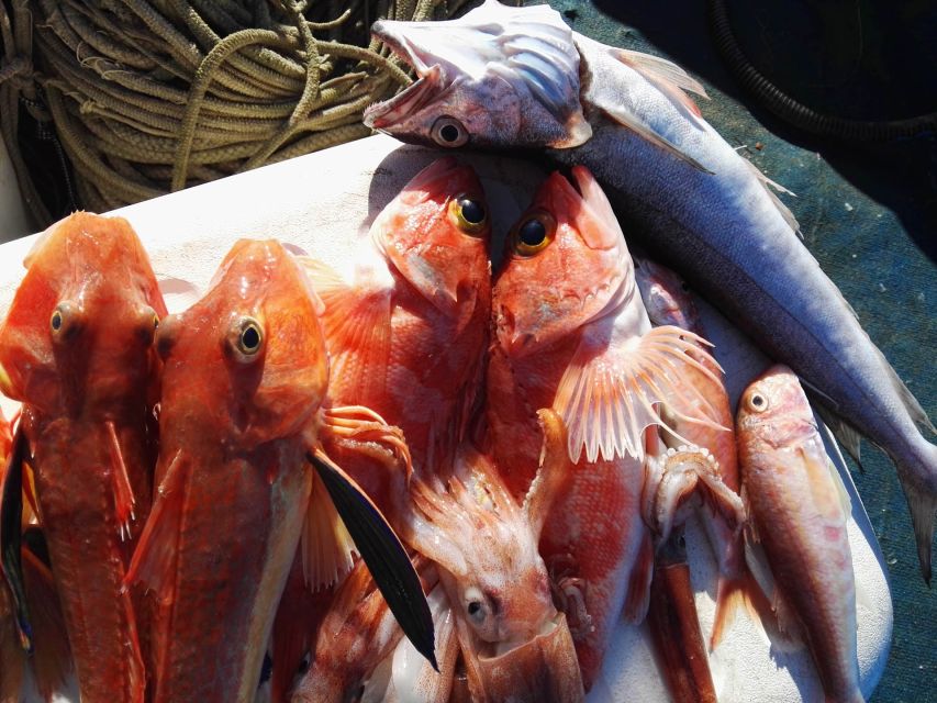 Sorrento: Sea-Fishing Tour with Lunch Onboard - How the fishing portion works
