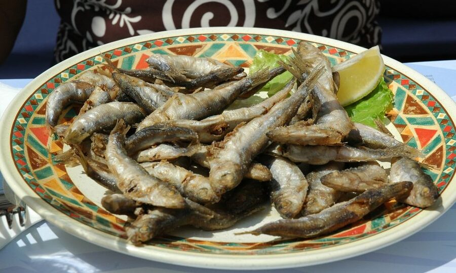 Sorrento: Sea-Fishing Tour with Lunch Onboard - Two hours on Capri, or more time with the rods