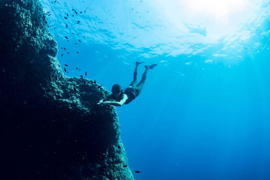 Sorrento: Snorkeling morning tour with a Marine Biologist. - Key points to know before booking
