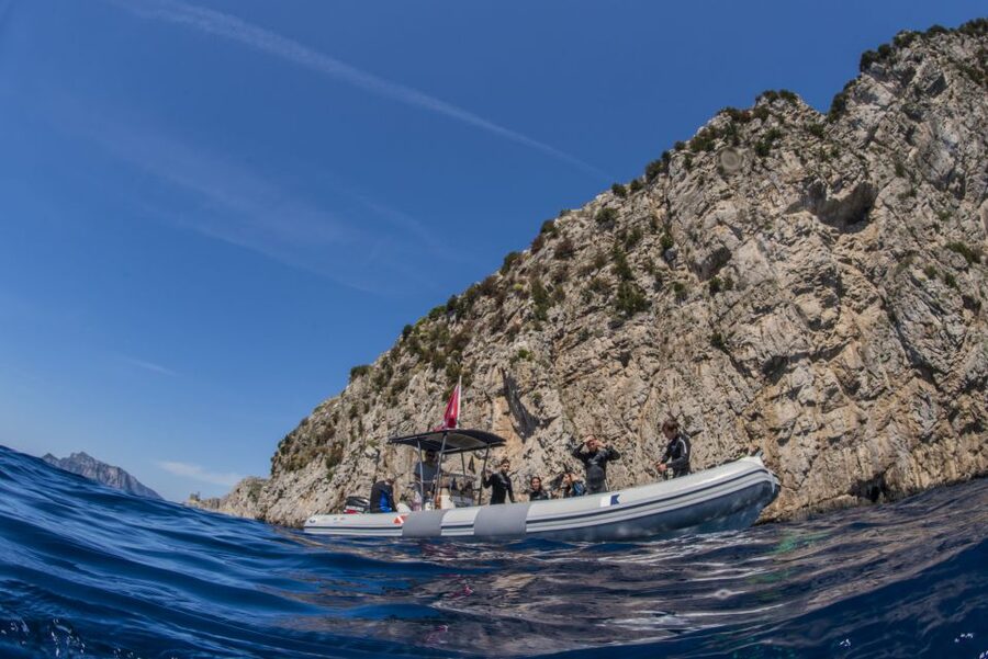 Sorrento: Snorkeling morning tour with a Marine Biologist. - The final 15-minute cruise back