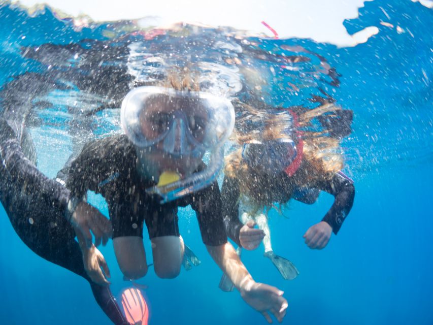 Sorrento: Snorkeling morning tour with a Marine Biologist. - A useful 45-minute safety and orientation session