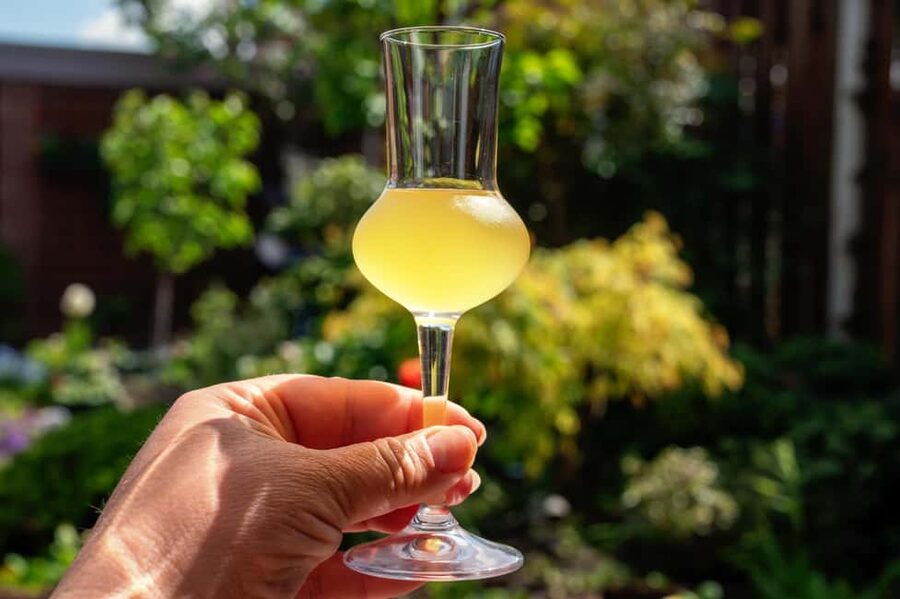 SORRENTO: Sunset Limoncello Making After-Dinner Experience - Fresh limoncello and tiramisu al limoncello